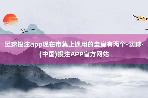 足球投注app现在市集上通用的圭臬有两个-买球·(中国)投注APP官方网站