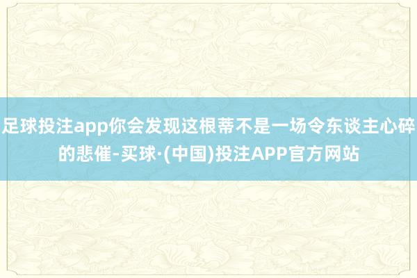 足球投注app你会发现这根蒂不是一场令东谈主心碎的悲催-买球·(中国)投注APP官方网站