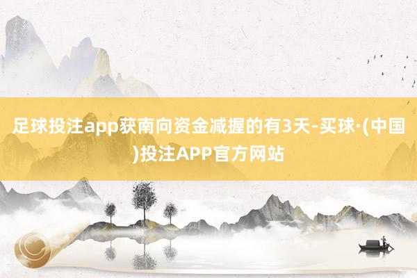 足球投注app获南向资金减握的有3天-买球·(中国)投注APP官方网站
