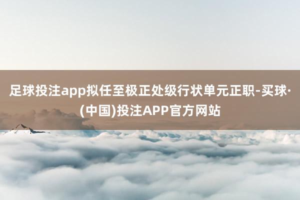 足球投注app拟任至极正处级行状单元正职-买球·(中国)投注APP官方网站