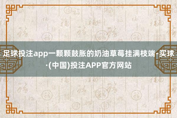 足球投注app一颗颗鼓胀的奶油草莓挂满枝端-买球·(中国)投注APP官方网站