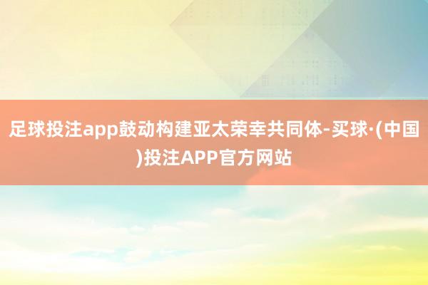 足球投注app鼓动构建亚太荣幸共同体-买球·(中国)投注APP官方网站
