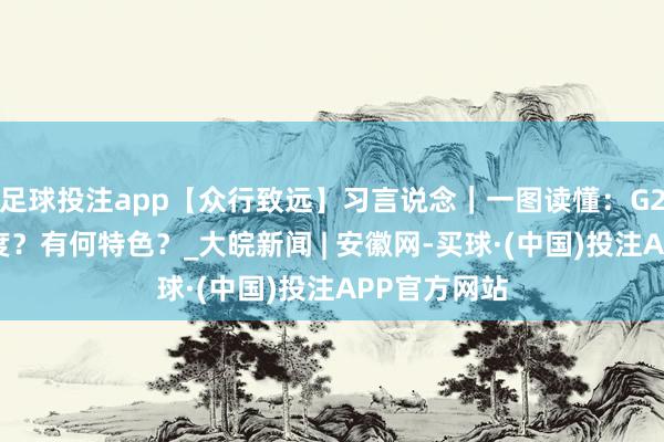 足球投注app【众行致远】习言说念｜一图读懂：G20有哪些国度？有何特色？_大皖新闻 | 安徽网-买球·(中国)投注APP官方网站