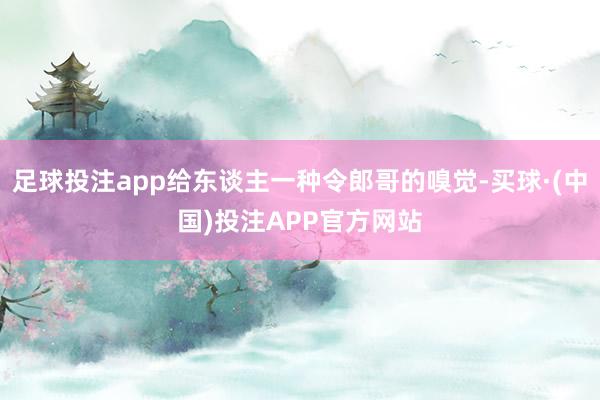足球投注app给东谈主一种令郎哥的嗅觉-买球·(中国)投注APP官方网站