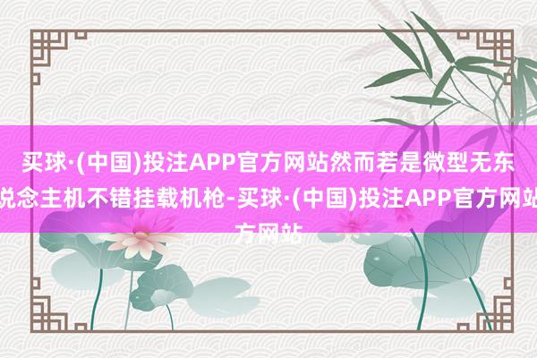 买球·(中国)投注APP官方网站然而若是微型无东说念主机不错挂载机枪-买球·(中国)投注APP官方网站
