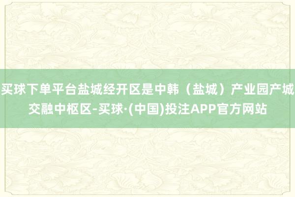 买球下单平台盐城经开区是中韩(盐城)产业园产城交融中枢区-买球·(中国)投注APP官方网站