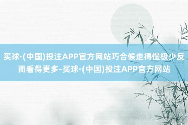 买球·(中国)投注APP官方网站巧合候走得慢极少反而看得更多-买球·(中国)投注APP官方网站