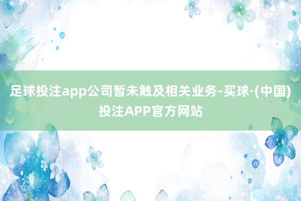 足球投注app公司暂未触及相关业务-买球·(中国)投注APP官方网站