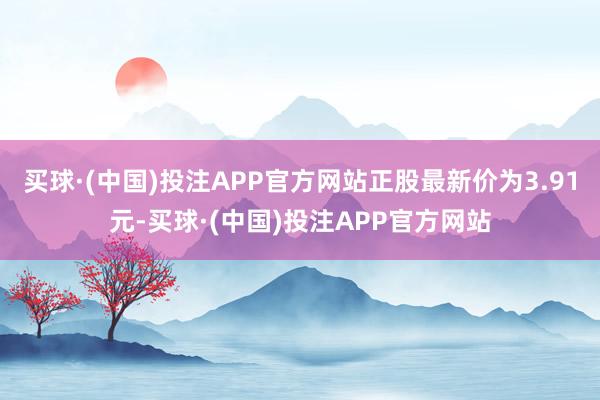买球·(中国)投注APP官方网站正股最新价为3.91元-买球·(中国)投注APP官方网站