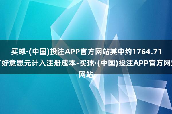 买球·(中国)投注APP官方网站其中约1764.71万好意思元计入注册成本-买球·(中国)投注APP官方网站