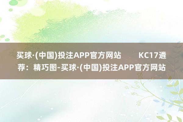 买球·(中国)投注APP官方网站        KC17遴荐：精巧图-买球·(中国)投注APP官方网站