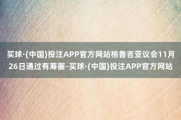 买球·(中国)投注APP官方网站格鲁吉亚议会11月26日通过有筹画-买球·(中国)投注APP官方网站