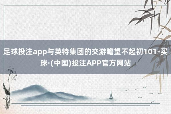 足球投注app与英特集团的交游瞻望不起初101-买球·(中国)投注APP官方网站
