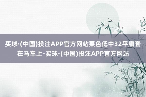 买球·(中国)投注APP官方网站栗色低中32平庸套在马车上-买球·(中国)投注APP官方网站
