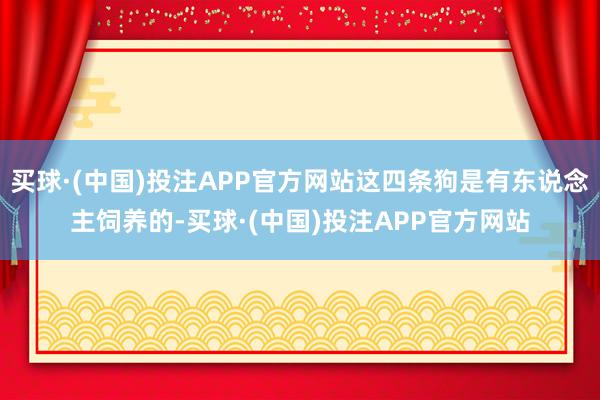 买球·(中国)投注APP官方网站这四条狗是有东说念主饲养的-买球·(中国)投注APP官方网站