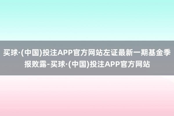 买球·(中国)投注APP官方网站左证最新一期基金季报败露-买球·(中国)投注APP官方网站