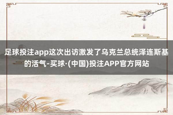 足球投注app　　这次出访激发了乌克兰总统泽连斯基的活气-买球·(中国)投注APP官方网站