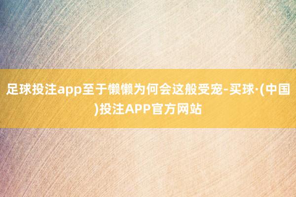 足球投注app至于懒懒为何会这般受宠-买球·(中国)投注APP官方网站